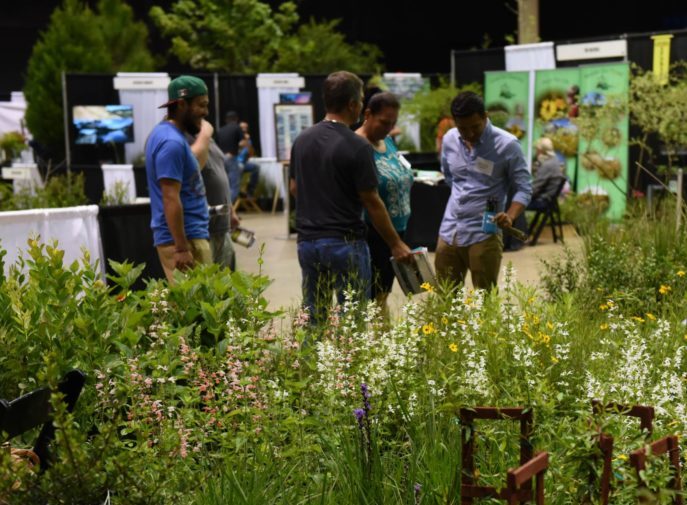 landscapers picking plants-min