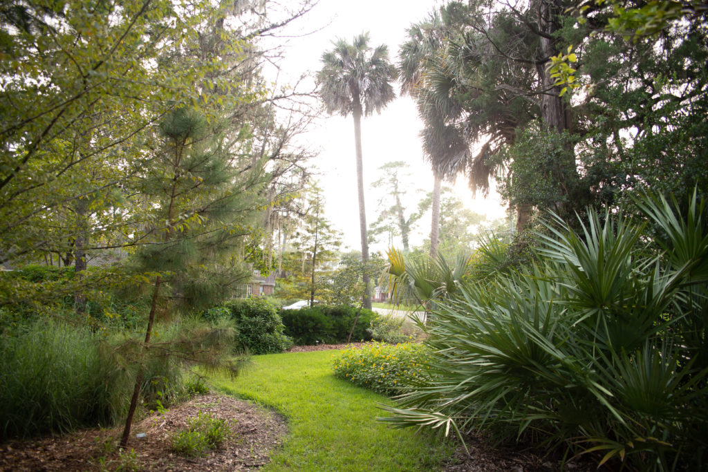 Beautiful calm scene in the emerging native plant landscaping at Native Park