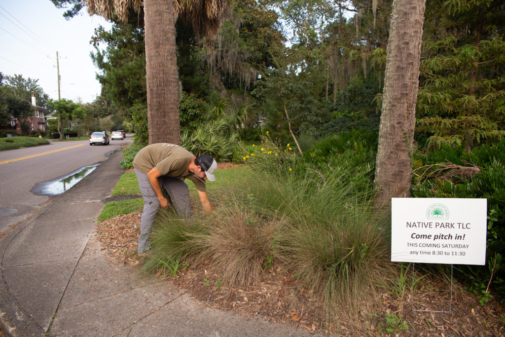 Nick Freeman at work, pulling weeds