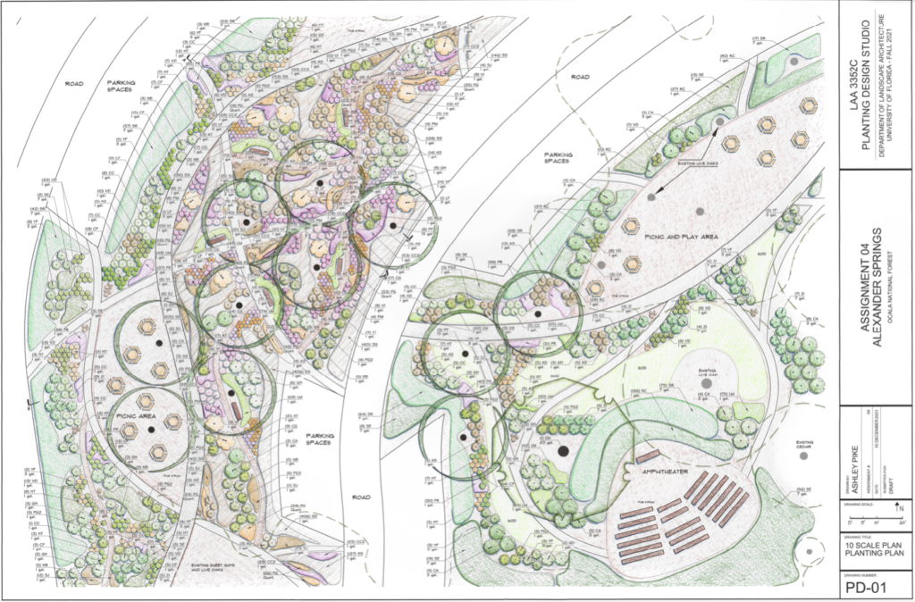 Ashley Pike's award winning plan for Alexander Springs parking area