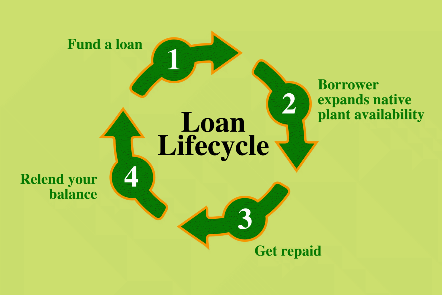 Kiva Loan life cycle for native plant business loans